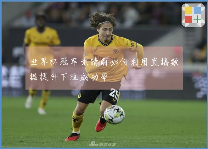 世界杯冠军竞猜前如何利用直播数据提升下注成功率