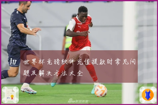 世界杯竞猜软件充值提款时常见问题及解决方法大全