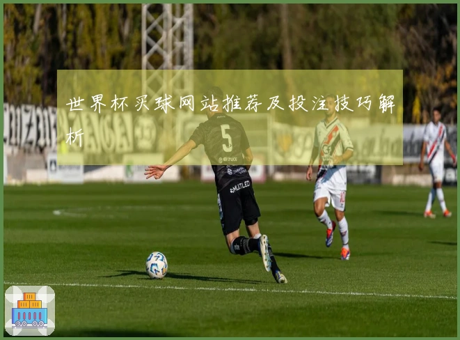世界杯买球网站推荐及投注技巧解析